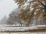 Yosemite Fall 011